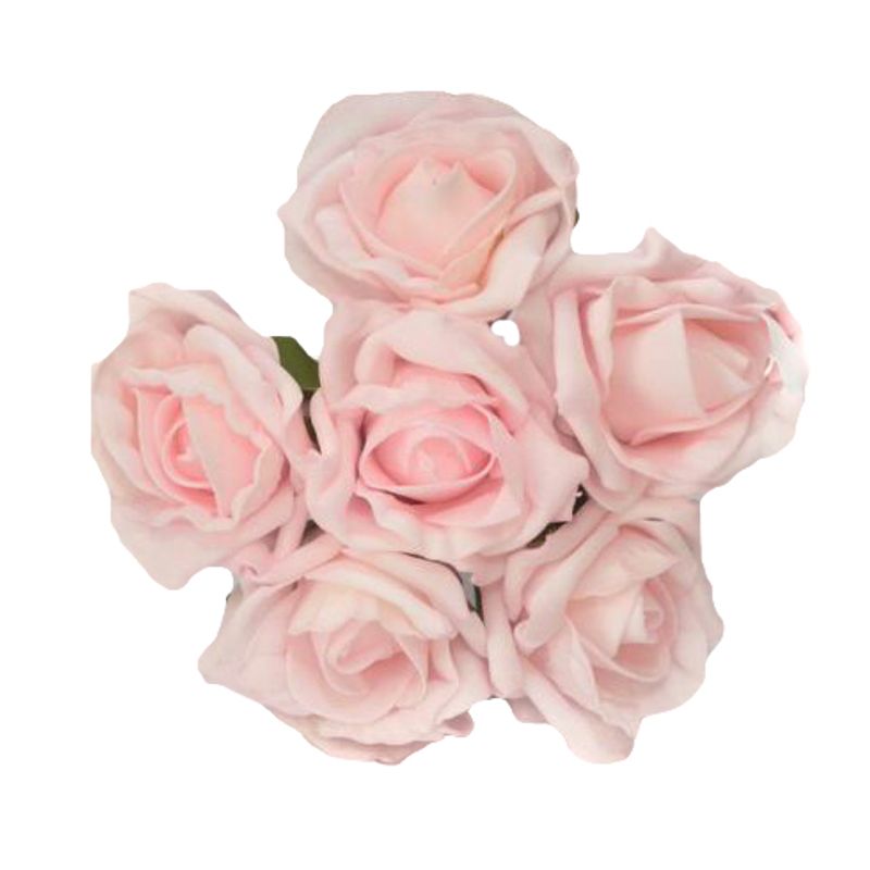 Roser Lys Rosa Foam 5cm 6-bunt
