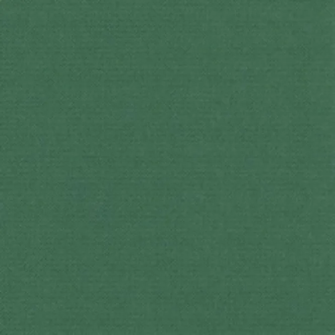 Hovedbilde Servietter Royal Textile Middag Grønn 20-pk